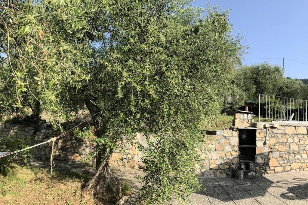 Villa Berio Due - Tuija Villa Viani Zewnętrze zdjęcie