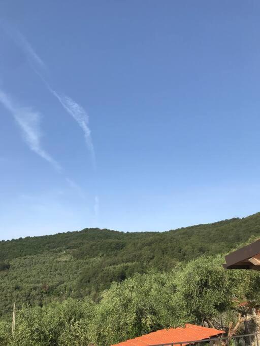 Villa Berio Due - Tuija Villa Viani Zewnętrze zdjęcie