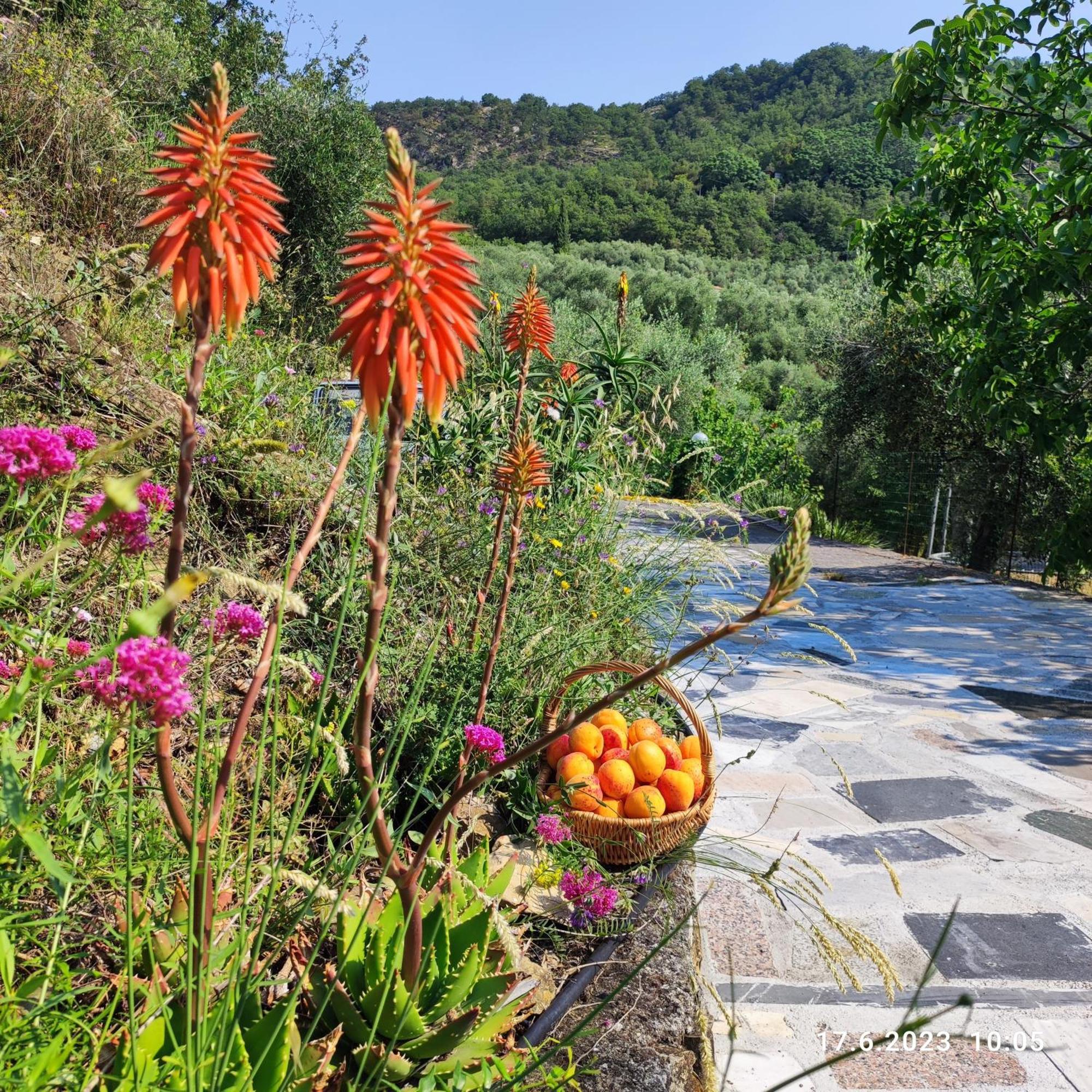 Villa Berio Due - Tuija Villa Viani Zewnętrze zdjęcie